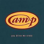 cover: Amp - You Drive Me Crazy