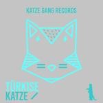 cover: Various - Turkise Katze