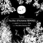 cover: Teho - Feuilles D'automne (Remixes)