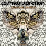 cover: Cosmos Vibration - Shamanic Journey