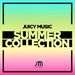 cover: Robbie Rivera|Various - Robbie Rivera Presents Juicy Music Summer Collection