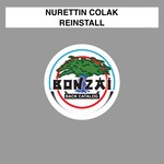 cover: Nurettin Colak - ReInstall