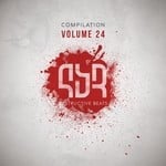 cover: Various - Destructive Compilation Vol 24