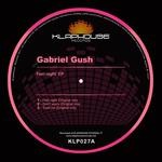 cover: Gabriel Gush - Feel Night