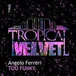 cover: Angelo Ferreri - Too Funky