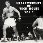 cover: Alex Raider|Dj Efx|Lex Loofah|Stanny Abram|Younus Sakoor - Heavyweights Of Tech-House Vol 1