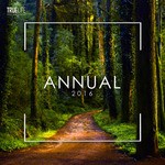 cover: Various - Annual 2016 Truelife Recordings