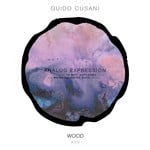 cover: Guido Cusani - Analog Expression