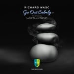 cover: Richard Wasc - Go Out Calmly