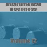 cover: Various - Instrumental Deepness Vol 12