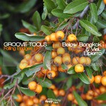 cover: Groove Tools - Falling Bridges