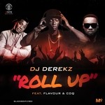 cover: Cdq|Dj Derekz|Flavour - Roll Up