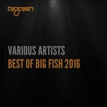 cover: Various - Best Of Big Fish 2016