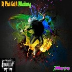 cover: Dj Phat Cat - Move