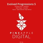 cover: Christian Drost|Twono|P&m Project - Evolved Progressions 5