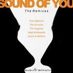 cover: Gushi & Raffunk - Sound Of You (The Remixes)