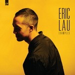 cover: Eric Lau - Examples