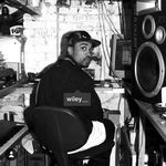 cover: Wiley - Godfather