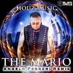 cover: The Mario - Houz Music