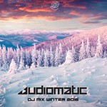 cover: Audiomatic|Day Din - DJ Winter Mix 2016