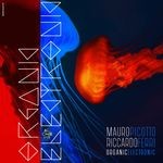 cover: Mauro Picotto & Riccardo Ferri - Organic Electronic