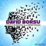 cover: David Borsu - Love Is Running (feat Heidi Vogel)