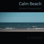 cover: Bunch Of Frequencies - Calm Beach