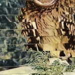 cover: Appleblim|Bonar Bradberry|Farrer|Krywald|Ponty Mython - Gottwax EP3
