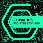 cover: Flowidus - From The Storm EP