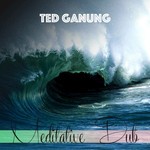 cover: Ted Ganung - Meditative Dub