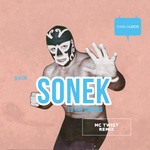 cover: Sonek - To The Ground/To The Ground