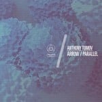 cover: Anthony Tomov - Arrow