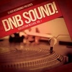 cover: Various - DNB Sound!: Collection Vol 1