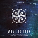 cover: Lost Frequencies - What Is Love 2016