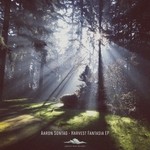 cover: Aaron Sontag - Harvest Fantasia EP