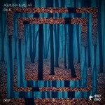 cover: Aguilera & Villar - Blue