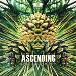 cover: Various - Ascending