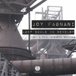 cover: Joy Fagnani - Lost Souls In Revelry