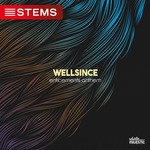 cover: Wellsince - Enticements Anthem