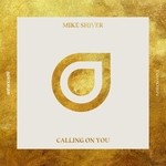 cover: Mike Shiver - Calling On You