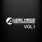 cover: Various - The History Of Audio Hedz Recordings Vol 1