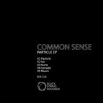 cover: Common Sense - Particle EP