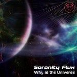 cover: Serenity Flux - Why Is The Universe