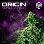 cover: Origin - Amnesia Haze