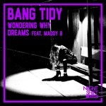 cover: Bang Tidy - Wondering Why