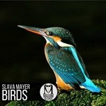 cover: Slava Mayer - Birds