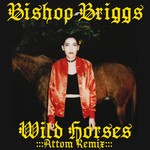 cover: Bishop Briggs - Wild Horses (Attom Remix)