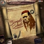 cover: Zamunda - Scripts & Scrolls