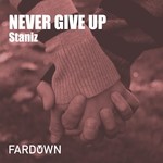 cover: Staniz - Never Give Up