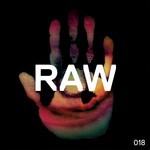 cover: Kaiserdisco & Alex Costa - Raw 018